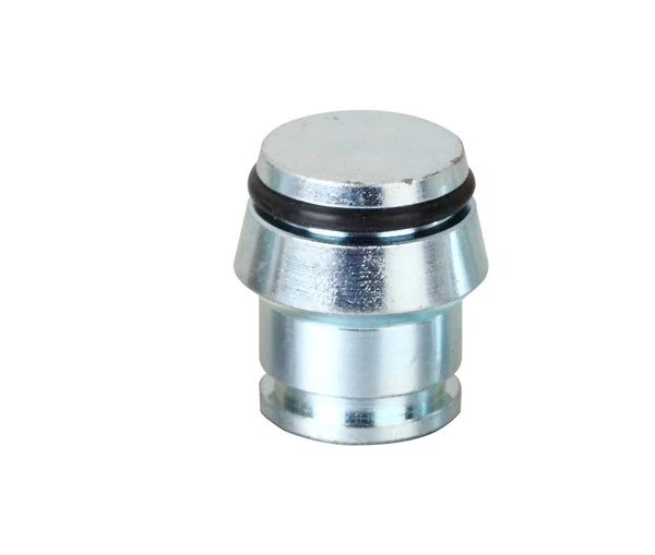 Metric Cap plug (2)
