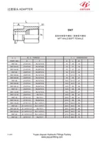 Adapter BSPT na NPT