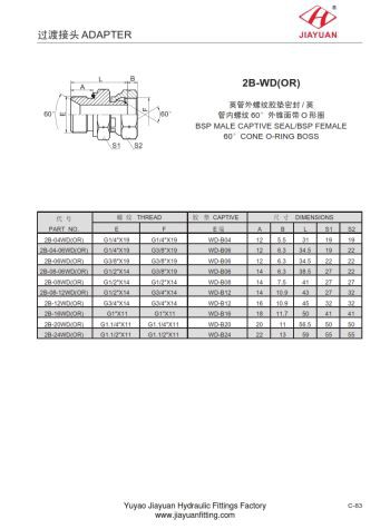 Męski pierścień uszczelniający BSP ED z pierścieniem uszczelniającym